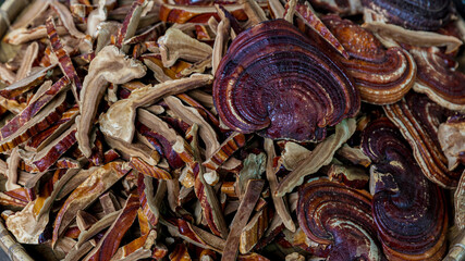 Lingzhi Mushroom and slices put on an old wooden background. Dry Lingzhi mushroom, Reishi mushroom in basket. Red reishi Mushroom (Lingzhi)
