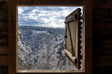 Blick aus der Schutzhütte in den winterlichen Thüringer Wald