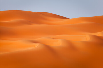 Fototapeta na wymiar Natural landscape of the wast sand dunes in the desert in Abu Dhabi in UAE