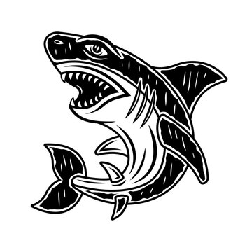 Shark vector monochrome illustration in vintage style isolated on white background
