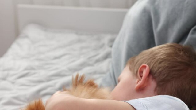 Happy boy with his German Spitz dog is lying on a bed with pillows. Friendship with an adorable petClose-up of a smiling blonde child gently hugs and kisses a pretty dog. Slow motion 4k video
