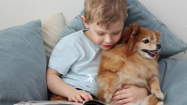 Blonde haired child gently hugs a red-haired dog and flips through a book. A happy boy with his German Spitz dog is sitting on a bed with pillows and reading a book. Friendship with an adorable pet.