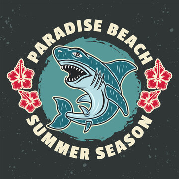 Shark vector vintage emblem, label, badge or logo surfing resort. Illustration in colorful cartoon style on dark background