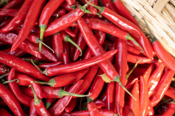 Fresh raw red hot chilli peppers