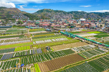 Aerial of the strawberry farm in the town of La Trinidad, Benguet, Philippines.