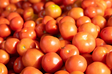 Delicious red tomatoes. Summer tray market agriculture farm full of organic vegetables. 