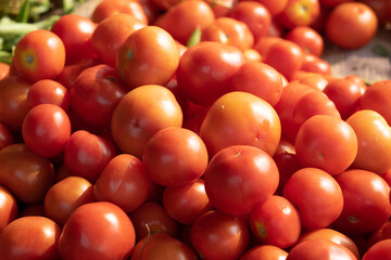 Delicious red tomatoes. Summer tray market agriculture farm full of organic vegetables. 
