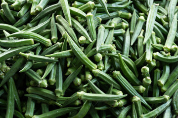 Stall of of Okra.Lady fingers. Lady Fingers or Okra vegetable stall in farm.