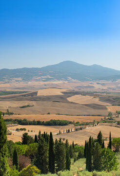 Tuscan landscape with hills and cypresses