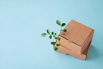 Cardbox from recyclable organic materials with green leaves sprout on blue table. Eco friendly...