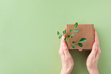 Woman hands holding cardbox from natural recyclable materials with green leaves sprout from above....