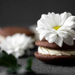 Fototapeta na wymiar Dessert with cream decorated with white flower. Chocolate cookie sandwich with flowers on table. Festive baking. Side view. Dark background. Close-up. Soft focus. Copy space. 