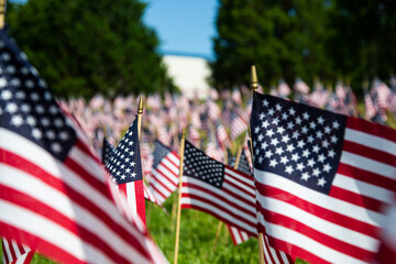 Hundreds of American flags planted on the lawn in America