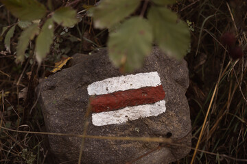 white and red orientation sign on stone in forest - marking hiking trail for tourists