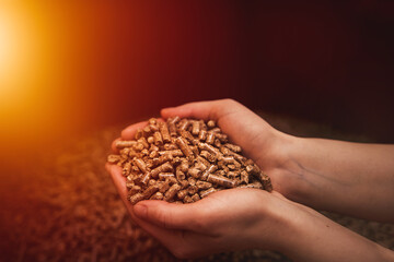 hands full of wood pellets. Concept of renewable energy for sustainable future.