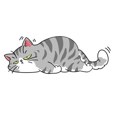 Lazy gray fat cat is sleeping.