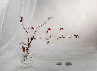 Modern still life with a rosehip branch in a glass vase on a light background