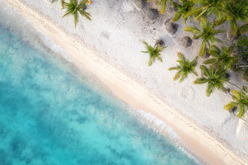 Aerial view of tropical paradise beach, amazing seascape with white sand, coconut palms and sea, outdoor travel background, summer holiday concept, natural wallpaper. Caribbean, Dominican Republic