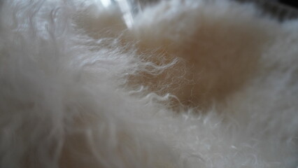 close up wool