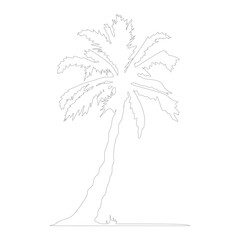 The best tropical palm or coconut tree outline vector illustration in trendy style. Editable graphic resources for many purposes.