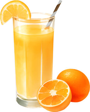 Orange Juice with Orange Fruit Decoration Isolated Hand Drawn Painting Illustration