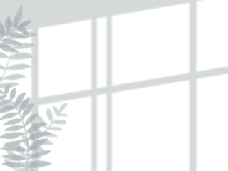窓と植物の葉の影が白色の壁に映るシンプルな背景