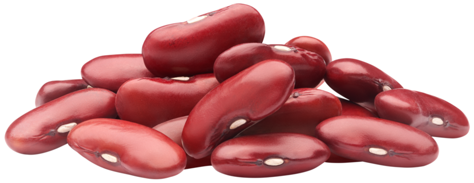 Pile of red kidney beans isolated