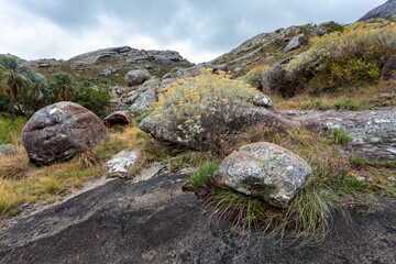 Andringitra national park, Haute Matsiatra region, Madagascar, beautiful mountain landscape,in front of trail flowers, high peak in mist and fog. Hiking in mountains. Madagascar wilderness landscape.