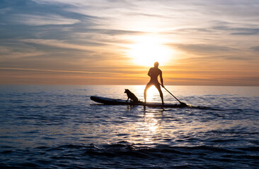 a sporty guy swims with a dog on a board in the sea under the beautiful sunset sun - obrazy, fototapety, plakaty