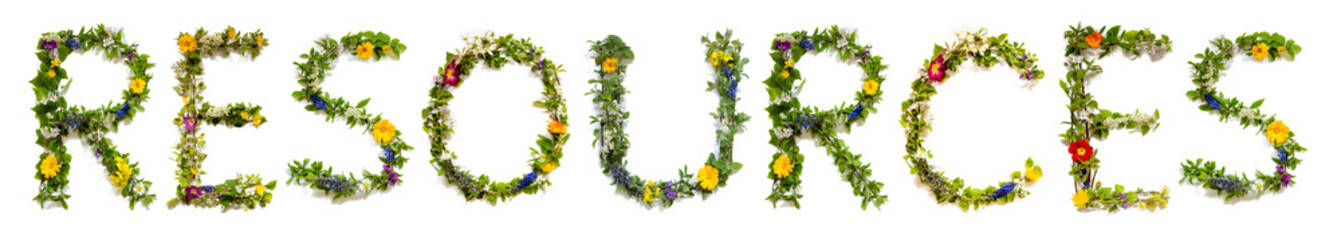 Blooming Flower Letters Building English Word Resources