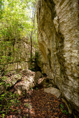 Petit Tsingy de Bemaraha, Strict Nature Reserve located near the western coast of Madagascar. UNESCO World Heritage with unique geography, mangrove forests, and animal. Madagascar wilderness landscape