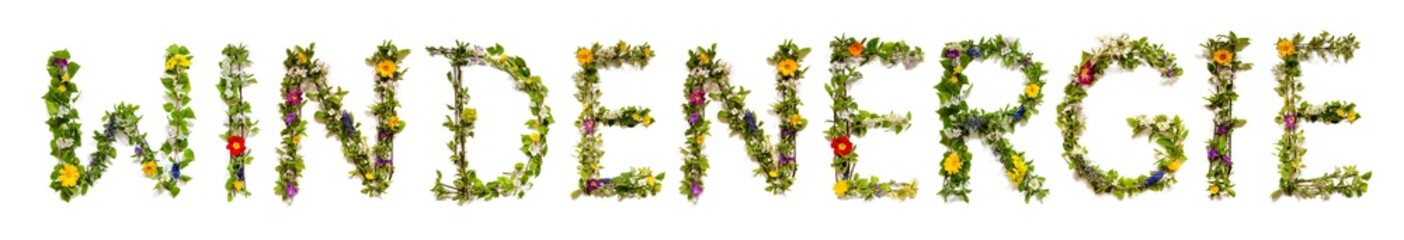 Blooming Flower Letters Building German Word Windenergie Means Wind Energy