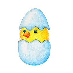 Cute character yellow chicken in an egg, hand-drawn, colored pencils