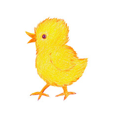 Bright yellow little chicken, side view, hand-drawn, colored pencils