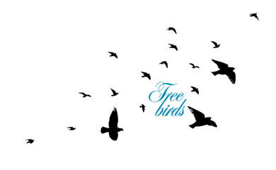 A flock of flying birds. Free birds. Vector illustration