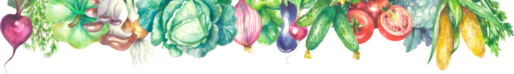 Watercolor banner of vegetables