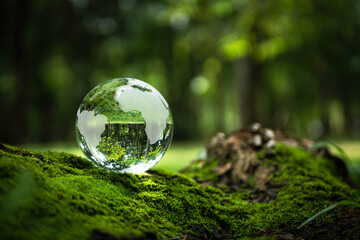 Environment Concept - Crystal Earth On moss In Forest With Ferns And Sunlight - Environment, save...