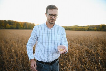 farmer agronomist in soybean field checking crops before harvest. Organic food production and cultivation.