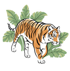 tiger walking in the jungle, tropical leaves