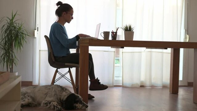 Side view of caucasian brunette woman working at home on her laptop while her dog watches her.