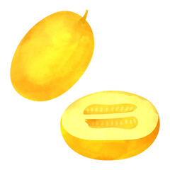 マクワウリの水彩風イラスト