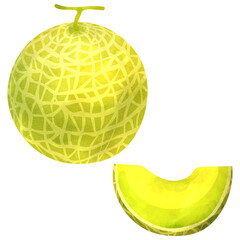 マスクメロンの水彩風イラスト