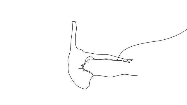 Vector continuous line art 4K video animation of a female dancer in a leotard doing a grand jet&eacute;. Her hair is flowing as she gracefully leaps in the air.