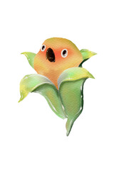 orange bird in flower