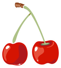 Cherry pair icon. Cartoon berries on green stem