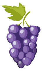 Grape bunch icon. Cartoon natural wine berry