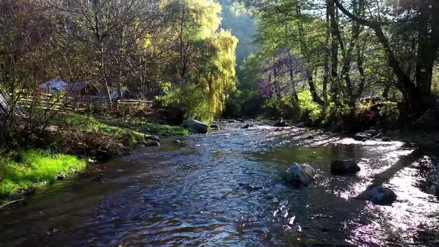 Aerial view above river with tree and sun rays passing through the tree branches at the begining of autumn in a mountains forest. HD video.