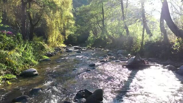 Aerial view above river with tree and sun rays passing through the tree branches at the begining of autumn in a mountains forest. HD video.