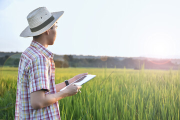 Young asian teen boy in plaid shirt, wears cap and holding tablet in hands, standing and using his tablet to survey information of rice growing and to do school project work in rice paddy field.