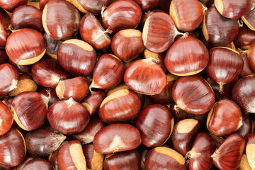 Ripe chestnuts close up. Sweet raw chestnuts. Husked chestnuts. Organic food. Food background